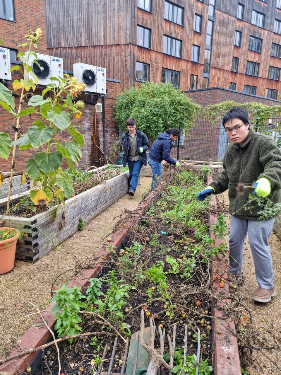 Sustainable Campus